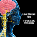 Как блуждающий нерв влияет на ваше самочувствие и почему важно работать с ним Как блуждающий нерв влияет на ваше самочувствие и почему важно работать с ним