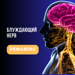 Рефлюкс и блуждающий нерв: как связаны эти две проблемы? Рефлюкс и блуждающий нерв: как связаны эти две проблемы?
